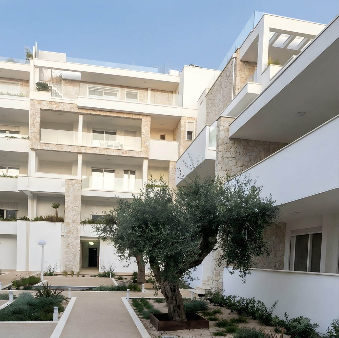 Cortile interno con ulivo
